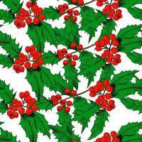 Seamless vector pattern with colored holly branches. Background for textiles, fabrics, covers, wallpapers, print, wrapping gift