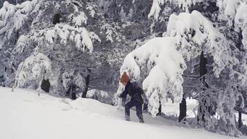 menino andando na floresta no inverno. o menino andando na floresta no inverno admira as árvores e a vista. video