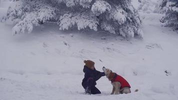menino que ama seu cachorro. menino amoroso cuidando de seu cachorro lá fora no dia de inverno. video