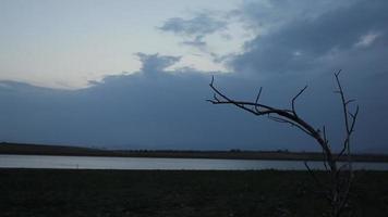 visão crepuscular cinematográfica. lago, único galho de árvore e céu. video