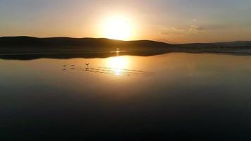 uccelli che volano nel lago al tramonto, al rallentatore. magnifico riflesso di uccelli che volano contro il sole nel lago. video