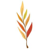 Branch with autumn leaves. Flat botany element. Modern fall seasonal decor. Floral silhouettes graphic design. Vector hand draw illustration isolated on the white background.