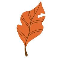 hoja de otoño. elemento botánico plano. decoración moderna de temporada de otoño. diseño gráfico de siluetas florales. ilustración vectorial dibujada a mano aislada en el fondo blanco. vector