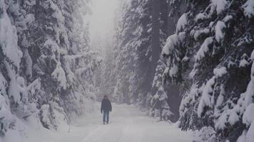 Einsamer Junge auf der verschneiten Straße im Wald. Mysteriöser Junge, der allein auf der verschneiten Straße im Wald spazieren geht. video