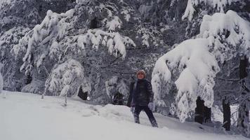 Junge spielt im verschneiten Wald. Das Kind geht zwischen den Bäumen im Wald spazieren und beobachtet die Umgebung, hebt den Schnee vom Boden auf, wirft ihn in die Luft und spielt. video