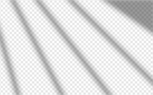 Soft shadow from the window form crystal rainbow  light and  flare transparent effects. Scenes of natural lighting.