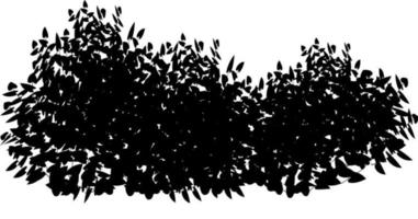 Monochrome vector drawing of bushes.