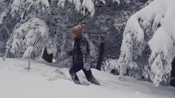 pojke som leker i den snöiga skogen. barnet går bland träden i skogen och tittar på omgivningen, plockar upp snön från marken och kastar den upp i luften och leker. video