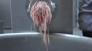 Fleisch durch einen Wolf. Fleisch, das durch eine Mühle in einer Fabrik verarbeitet wird. video