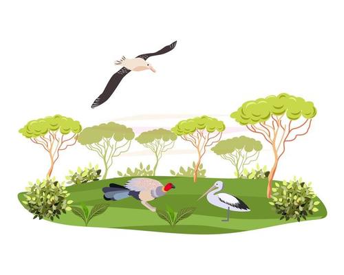 Australian landscape.Plants,animal and trees.
