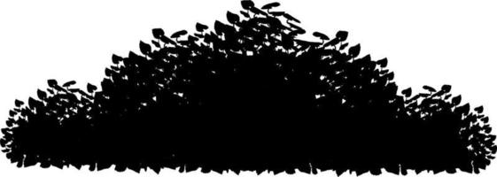 Monochrome vector drawing of bushes.