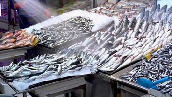 pêcheur arrosant des poissons. le pêcheur mouille les poissons alignés dans l'allée avec de l'eau. video