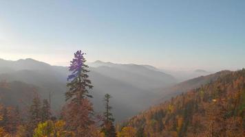 bewolkte bergen en bos in de herfst. prachtig uitzicht op wolken en kleurrijke bomen in de herfst. video