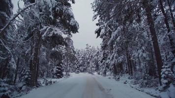 bilkörning på snöig och isig väg. en minibuss kör på en snöig och isig väg i skogen. video