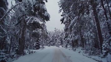 guida su strada innevata e ghiacciata. un minibus sta guidando su una strada innevata e ghiacciata nella foresta. video