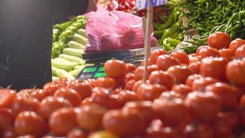 Pesatura artigianale dei pomodori. l'artigiano mette i pomodori nel sacco e li pesa. video