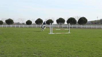 pista de saltos equestres. treinamento de cavalos na fazenda de cavalos. video