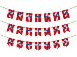 Norway flag on the ropes on white background. Set of Patriotic bunting flags. Bunting decoration of Norway flag vector