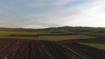 Arable fields. Global warming. Seed sown fields. Sowing in the field. Farming. video