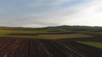 Ackerflächen. Erderwärmung. besäte Felder. Aussaat im Feld. Landwirtschaft. video