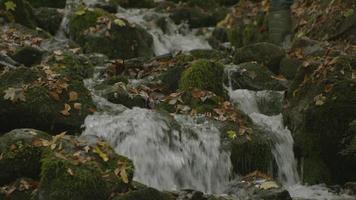córrego e fluindo água limpa. riacho fluindo através de pedras cobertas de musgo. video