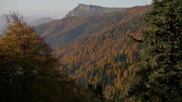 montañas nubladas y bosque en otoño. maravillosa vista de nubes y árboles coloridos en otoño. video