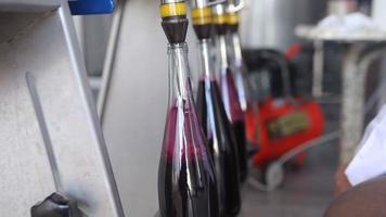 remplissage de vin. mise en bouteilles de vin à l'usine. video