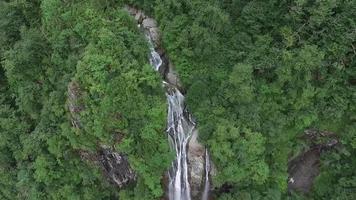 Waterfall pouring from cliffs. Magnificent view of the waterfall flowing from the rocks in the forest. video