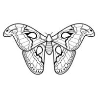 Coloring book or page for kids. Butterfly black and white vector