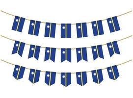 Nauru flag on the ropes on white background. Set of Patriotic bunting flags. Bunting decoration of Nauru flag vector