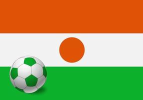 niger flag and soccer ball vector