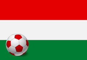bandera de hungría y balón de fútbol vector