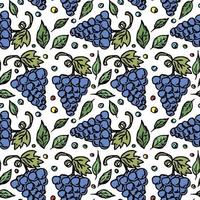 Seamless grape pattern. Doodle vector with grape icons. Vintage grape pattern