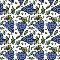 Seamless grape pattern. Doodle vector with grape icons. Vintage grape pattern