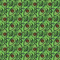 Seamless avocado pattern. Colored avocado background. Doodle vector illustration with fruits