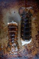 fresh lobster tails on metal textured pan top view photo