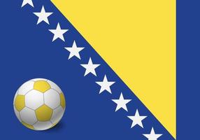 Bosnia and Herzegovina flag and soccer ball vector