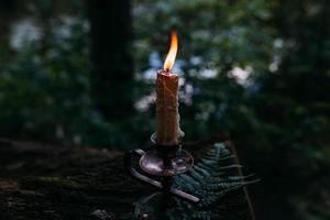 Burning candle in enchanted forest. Occult, esoteric concept. photo