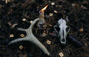 Burning candle and old scull in enchanted forest. Occult, esoteric concept.