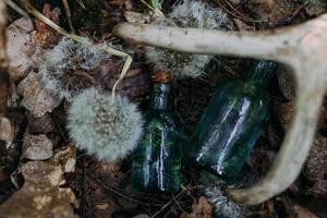 las botellas de vidrio están llenas de ingredientes mágicos, elixir. bosque misterioso. foto