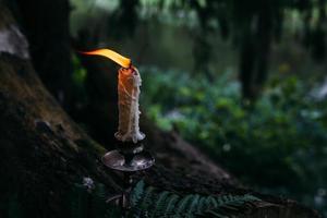 Burning candle in enchanted forest. Occult, esoteric concept. photo