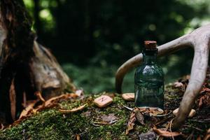 Glass bottles are filled with magic ingredients, potion. Mysterious forest. photo