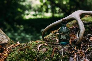 Glass bottles are filled with magic ingredients, potion. Mysterious forest. photo