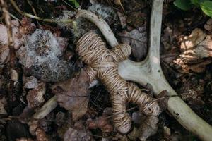 A woven voodoo doll of threads and bones in a ritual in a mysterious forest. photo