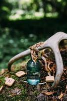 Glass bottles are filled with magic ingredients, potion. Mysterious forest. photo