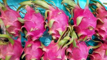 Many dragonfruits are placed in trays for sale to customers. in a shop in Thailand photo