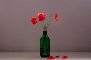 Bouquet of red poppies in a green glass vase photo