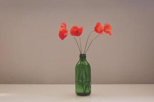 Bouquet of red poppies in a green glass vase photo