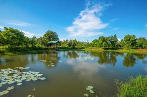 pond lotus water lily landscape of lake with pavilion riverside on bright day blue sky photo