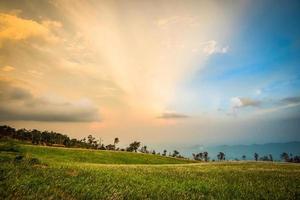 Landscape sunrise on the mountain with field and meadow green grass flower and beautiful cloud sky photo